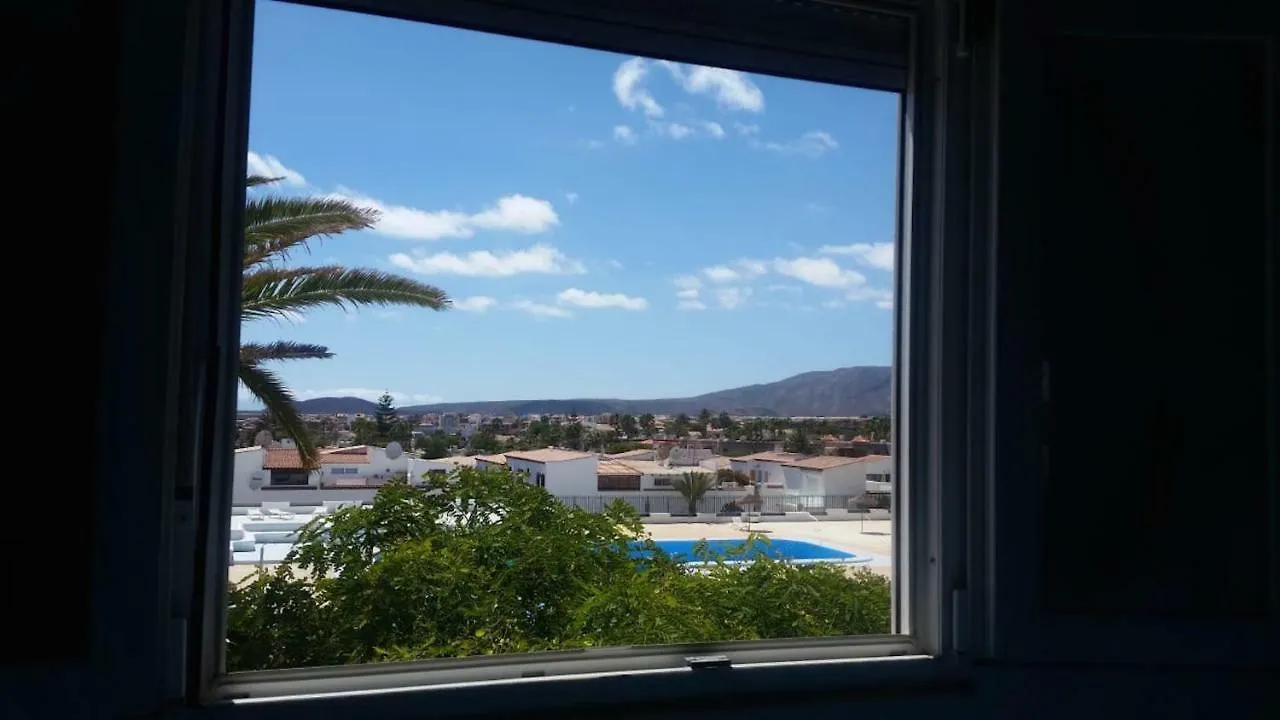 Apartment Apartamentos Chayofita Up - Costa Del Silencio Spain
